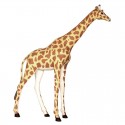 Żyrafa 335 cm - figura reklamowa